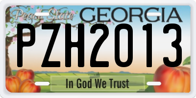 GA license plate PZH2013