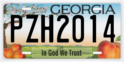 GA license plate PZH2014