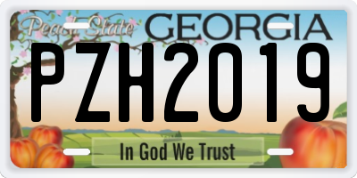 GA license plate PZH2019