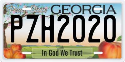 GA license plate PZH2020