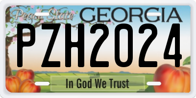 GA license plate PZH2024