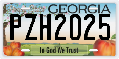 GA license plate PZH2025