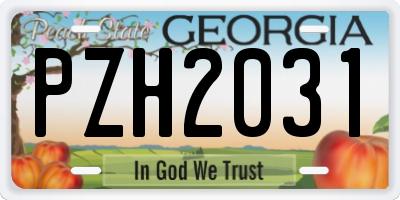 GA license plate PZH2031