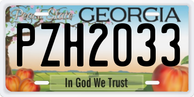 GA license plate PZH2033