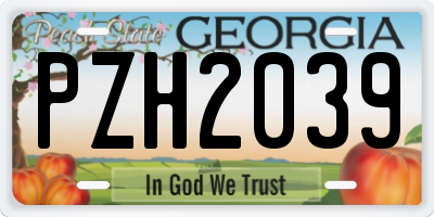 GA license plate PZH2039