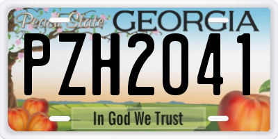 GA license plate PZH2041