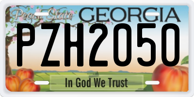GA license plate PZH2050