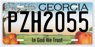 GA license plate PZH2055