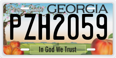 GA license plate PZH2059
