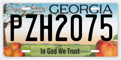 GA license plate PZH2075