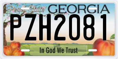 GA license plate PZH2081