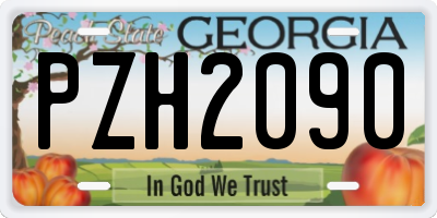 GA license plate PZH2090