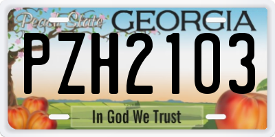 GA license plate PZH2103
