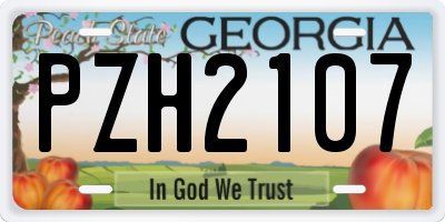 GA license plate PZH2107