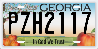 GA license plate PZH2117