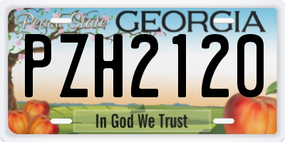 GA license plate PZH2120
