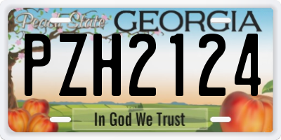 GA license plate PZH2124