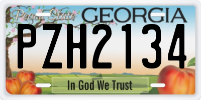 GA license plate PZH2134