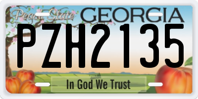GA license plate PZH2135