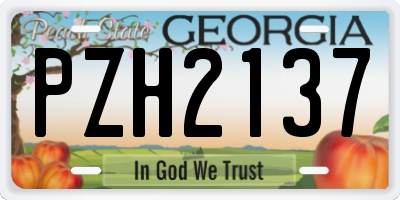 GA license plate PZH2137