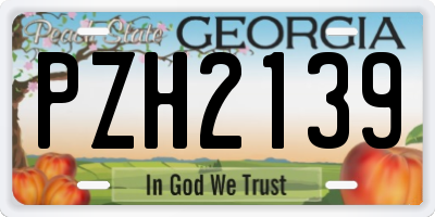 GA license plate PZH2139