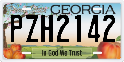 GA license plate PZH2142
