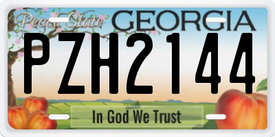 GA license plate PZH2144