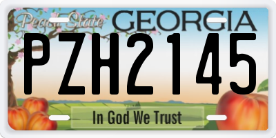 GA license plate PZH2145