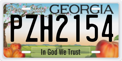 GA license plate PZH2154