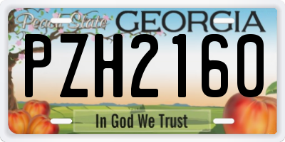 GA license plate PZH2160