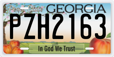 GA license plate PZH2163