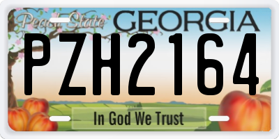 GA license plate PZH2164