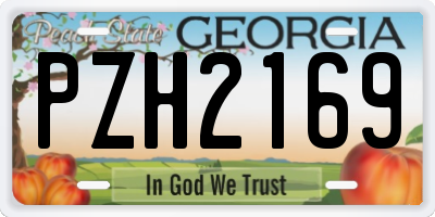 GA license plate PZH2169