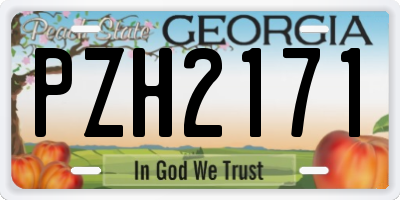 GA license plate PZH2171