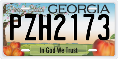 GA license plate PZH2173
