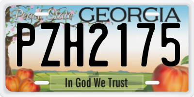 GA license plate PZH2175