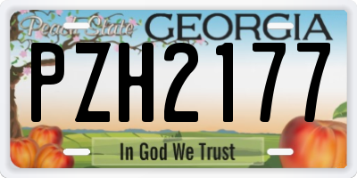 GA license plate PZH2177