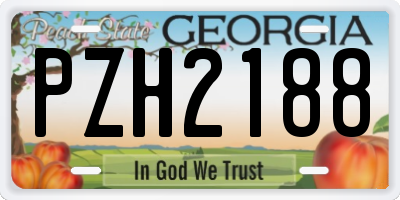 GA license plate PZH2188