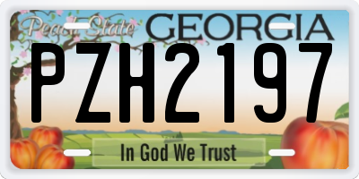 GA license plate PZH2197