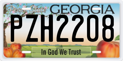 GA license plate PZH2208