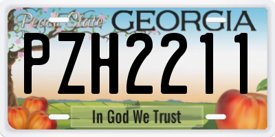 GA license plate PZH2211
