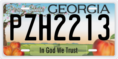 GA license plate PZH2213