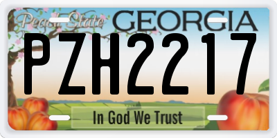 GA license plate PZH2217