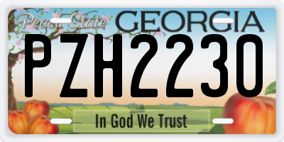 GA license plate PZH2230
