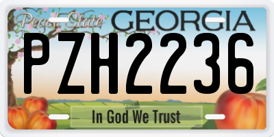 GA license plate PZH2236