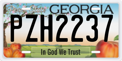 GA license plate PZH2237