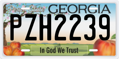 GA license plate PZH2239