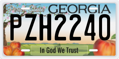 GA license plate PZH2240