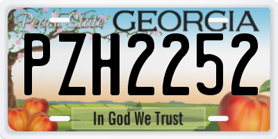 GA license plate PZH2252