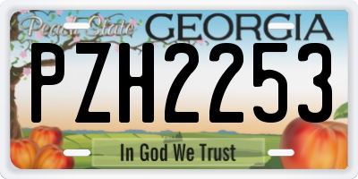 GA license plate PZH2253